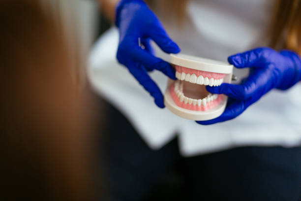Trusted Townsend, DE  Holistic Dental Services Experts